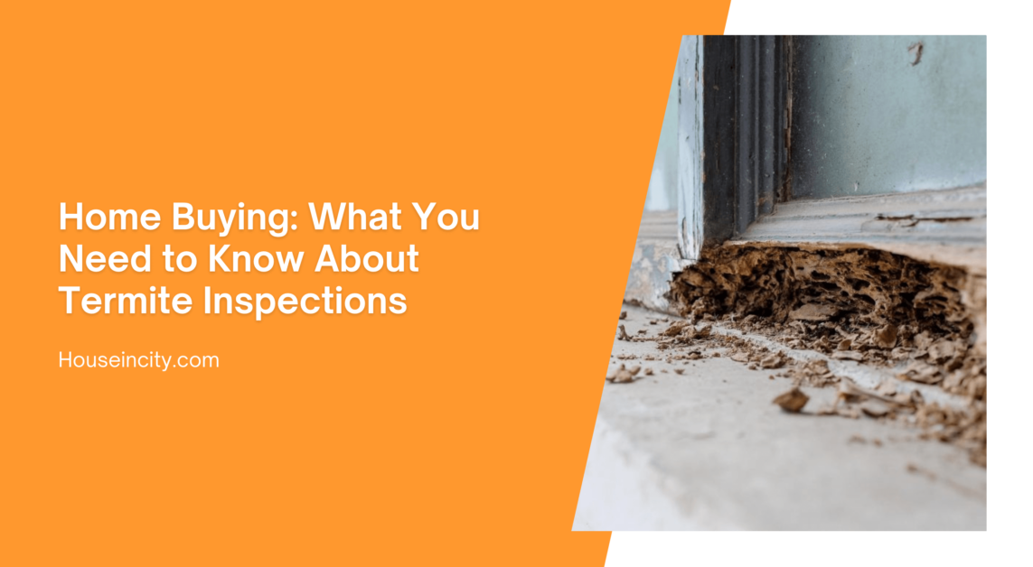 Home Buying: What You Need to Know About Termite Inspections