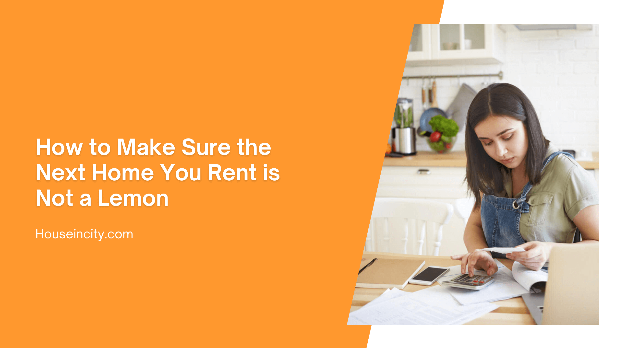 How to Make Sure the Next Home You Rent is Not a Lemon