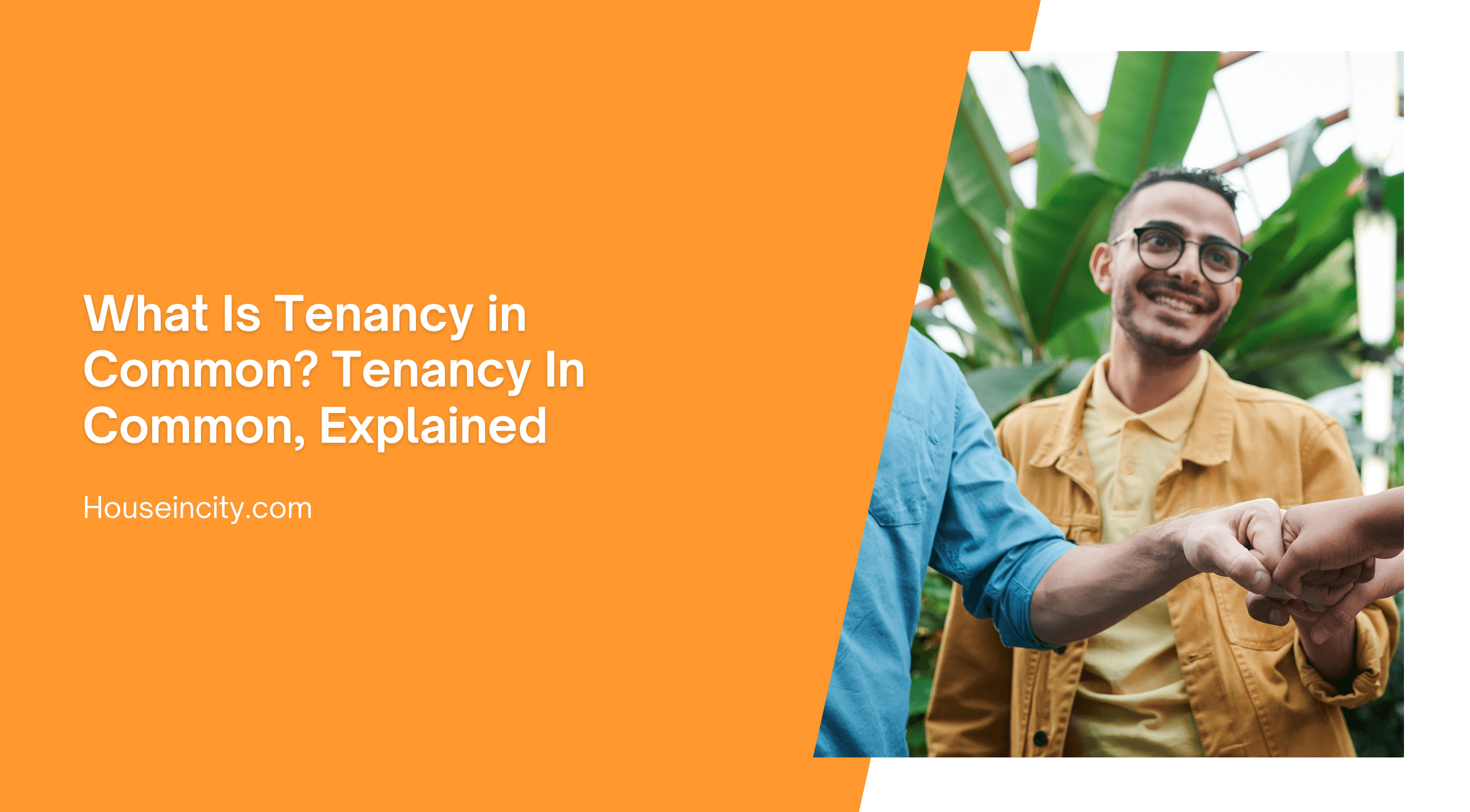 What Is Tenancy in Common? Tenancy In Common, Explained