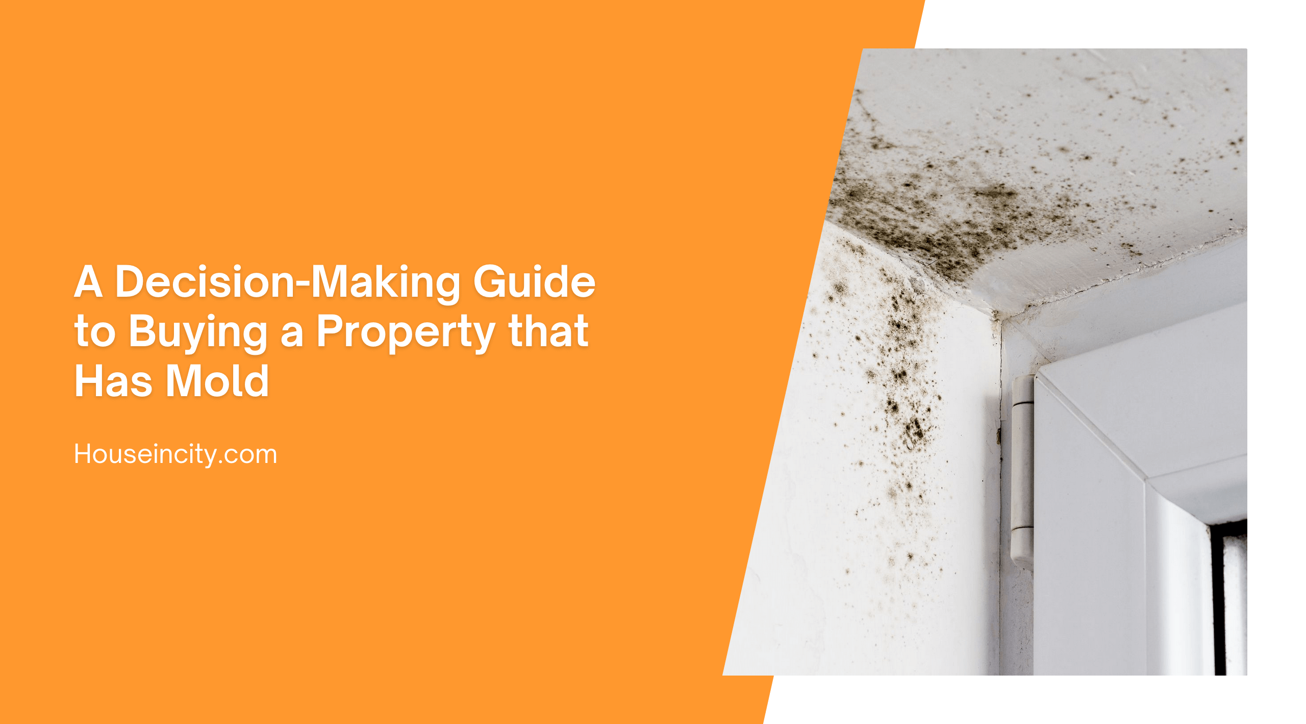A Decision-Making Guide to Buying a Property that Has Mold